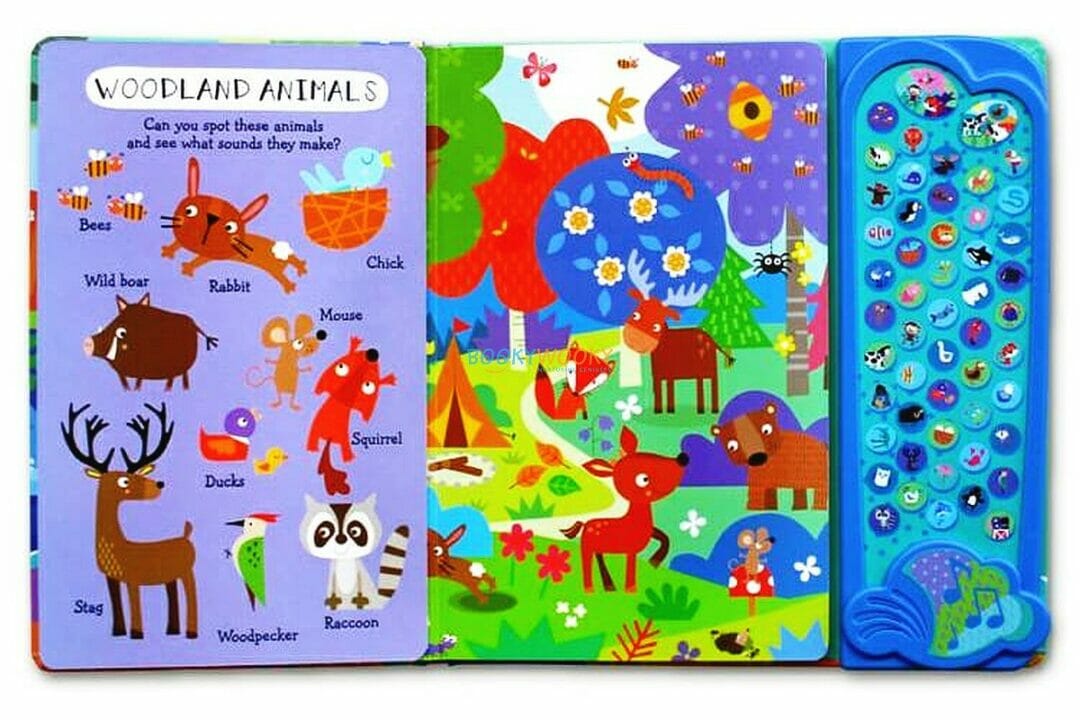 My First Look and Find Sound Book Animals – – Booky Wooky