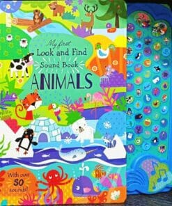 My First Look and Find Sound Books Animals - real picture