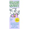 Brain Quest Preschool QA cards Ages 4 5 years coverjpg