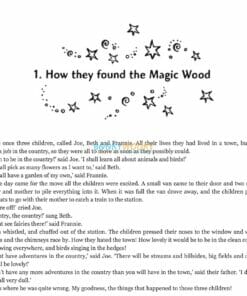 Enchanted-Wood-A-Faraway-Tree-Adventure.jpg