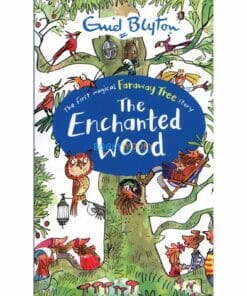 Enchanted-Wood-A-Faraway-Tree-Adventure-cover.jpg