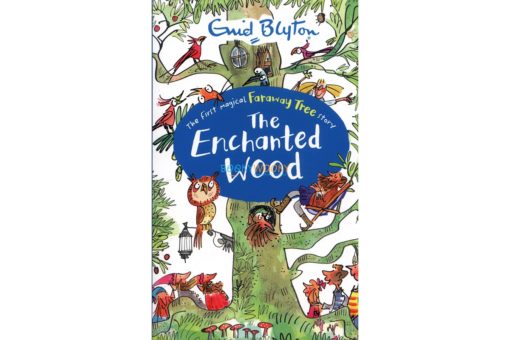 Enchanted Wood A Faraway Tree Adventure coverjpg