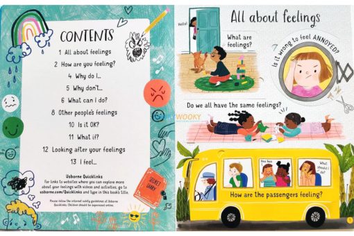 Questions and Answers About Feelings Usborne Lift the Flap 2jpg