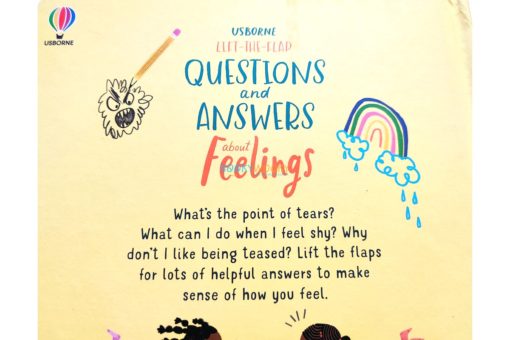 Questions and Answers About Feelings Usborne Lift the Flap backjpg