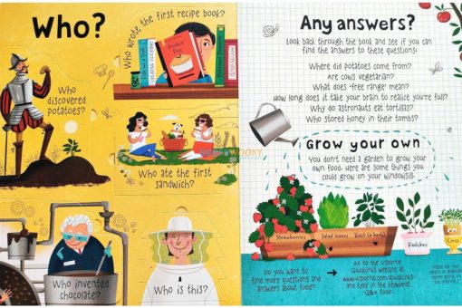 Questions and Answers About Food Usborne Lift The Flap 1jpg