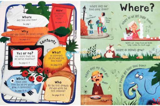 Questions and Answers About Food Usborne Lift The Flap 2jpg