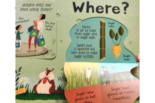 Questions and Answers About Food Usborne Lift The Flap 3jpg