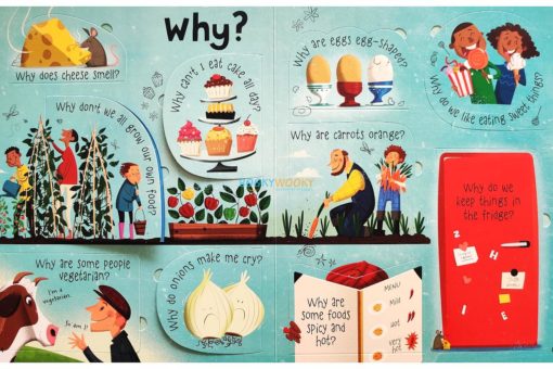 Questions and Answers About Food Usborne Lift The Flap 4jpg