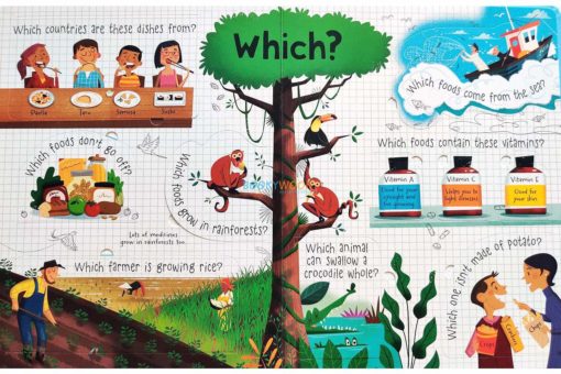 Questions and Answers About Food Usborne Lift The Flap 8jpg