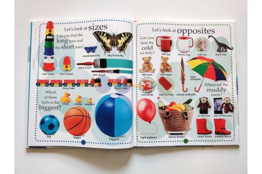 The-Toddlers-Big-Book-of-Everything-3.jpg