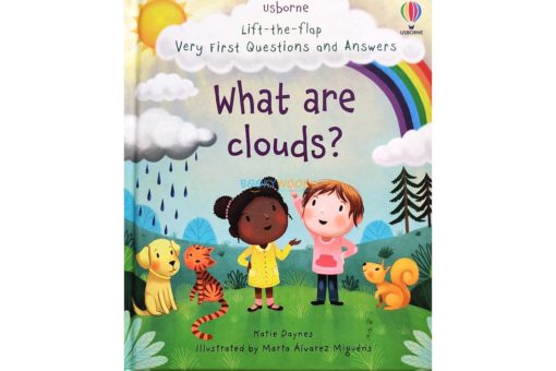 What are Clouds Very First Questions and Answers Lift The Flap 2jpg