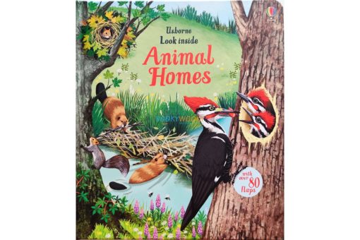Look Inside Animal Homes by Usborne 2jpg
