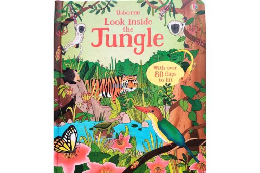 Look Inside the Jungle by Usborne 2jpg