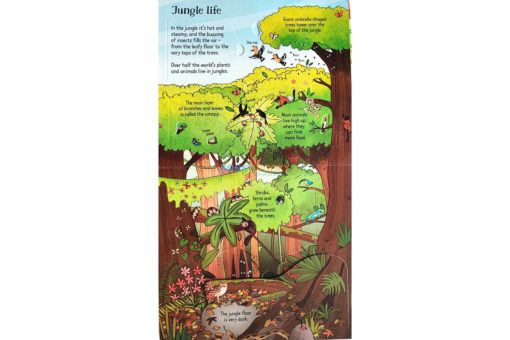 Look Inside the Jungle by Usborne 3jpg