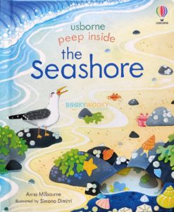 Peep-Inside-the-Seashore-by-Usborne-2.jpg