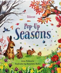 Pop-Up-Seasons-by-Usborne-2.jpg