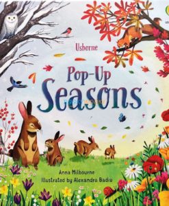 Pop-Up-Seasons-by-Usborne-2.jpg