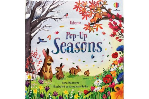 Pop Up Seasons by Usborne 2jpg