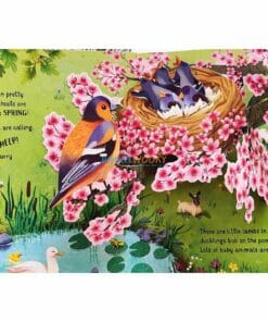 Pop-Up-Seasons-by-Usborne-3.jpg