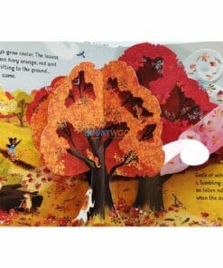 Pop-Up-Seasons-by-Usborne-5.jpg