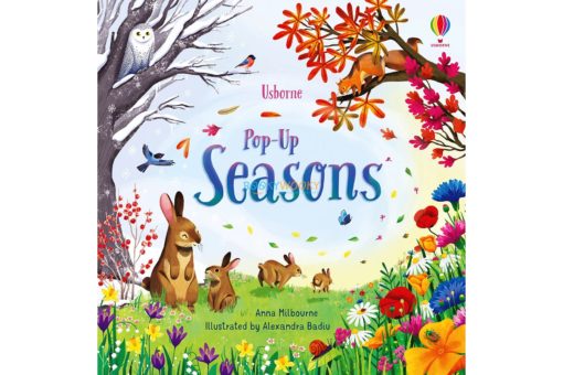Pop-Up-Seasons-by-Usborne-cover.jpg