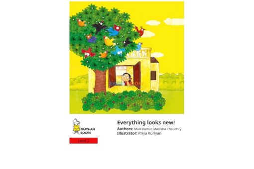 Everything Looks New 9788184793215 (1)