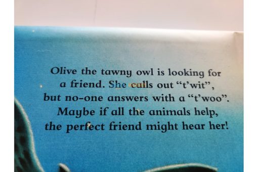 It Takes Two to Twit Twoo Boardbook back cover
