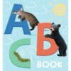 ABC Book BoardBook 9781648331312