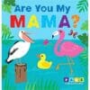 Are You My Mama BoardBook 9781951086275