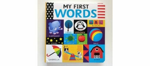 My First Words BoardBook 9781648331473