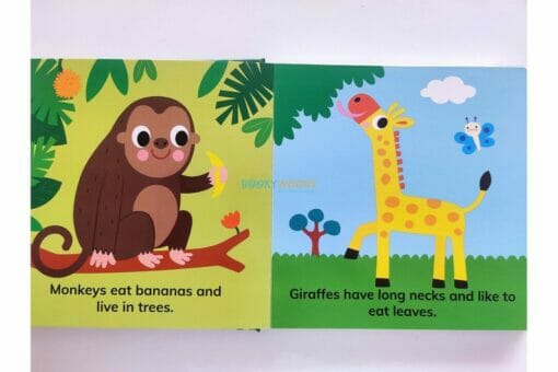 My First Zoo Animals BoardBook 9781951086312