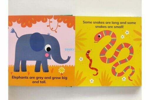 My First Zoo Animals BoardBook 9781951086312