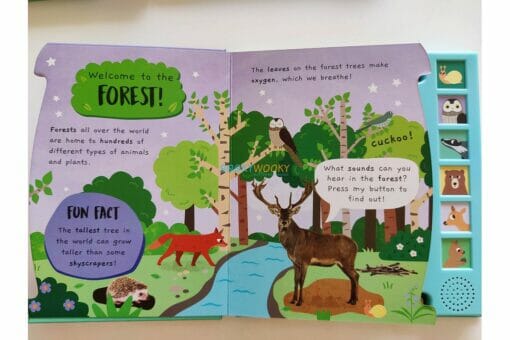 Noisy Forest Sound book Little Wonders