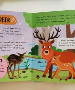 Noisy Forest Sound book Little Wonders