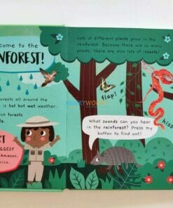 Noisy Rainforest Sound book Little Wonders