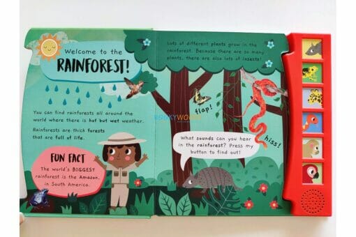 Noisy Rainforest Sound book Little Wonders