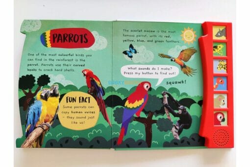 Noisy Rainforest Sound book Little Wonders