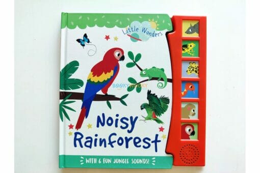 Noisy Rainforest Sound book Little Wonders