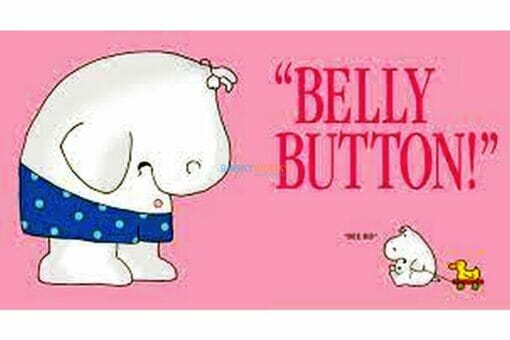 Belly button book 9780761137993