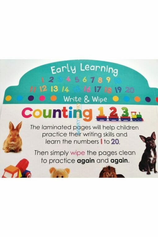 Early Learning Write Wipe Counting 123