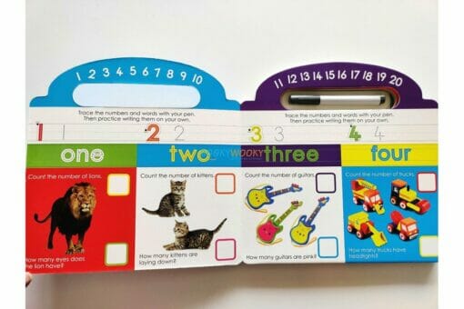 Early Learning Write Wipe Counting 123