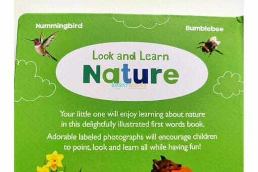 Look and Learn Nature 9781648333583