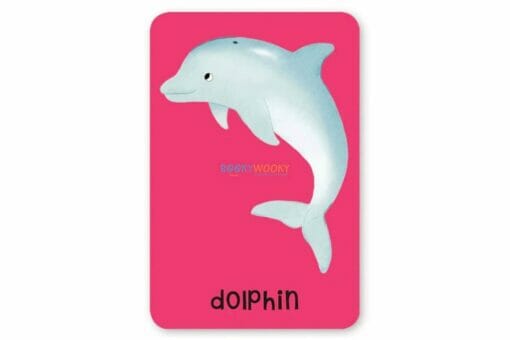 Sea Snap 100 Card Games to Play 9781789890617