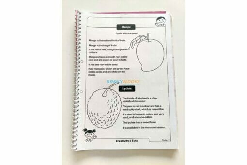 Fruits Worksheets with Craft Material