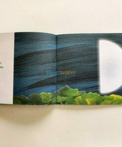 Look The Moon - Tulika Books 9788181460264