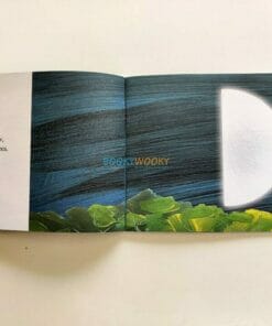 Look The Moon - Tulika Books 9788181460264