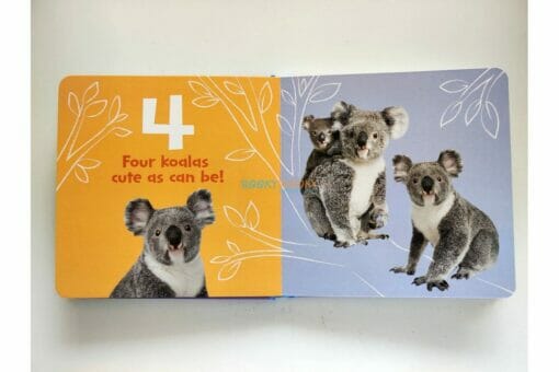 1 2 3 Book BoardBook 9781648331343