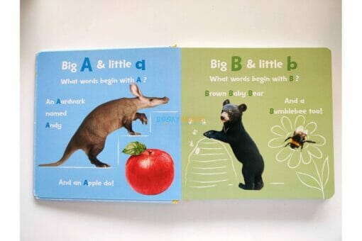 ABC Book BoardBook 9781648331312