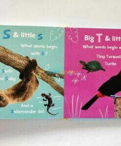 ABC Book BoardBook 9781648331312