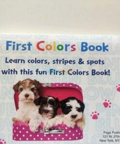 First Colors Book BoardBook 9781648331374